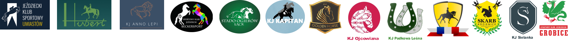 Logotypy Organizatorów
