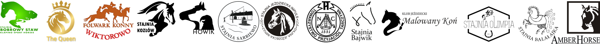 Logotypy Organizatorów